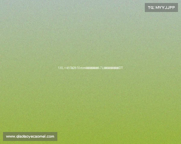 1.6L+4AT，2610mm轴距，百公里油耗6.7L，价格亲民，体验逸动DT