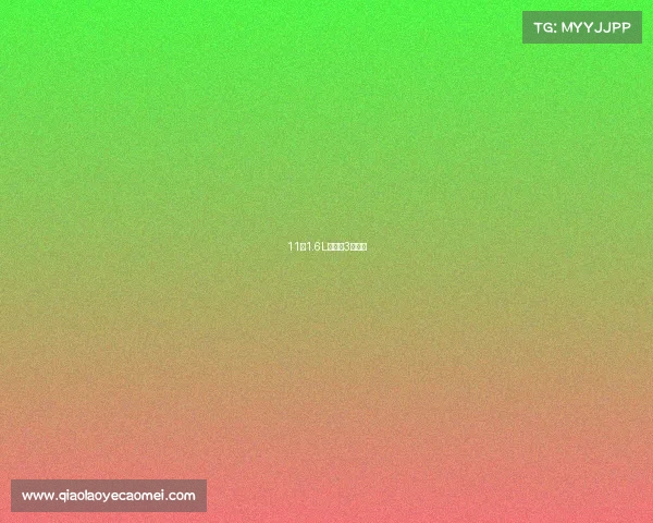 11年1.6L马自达3舒适型 11年1.6L马自达3舒适型